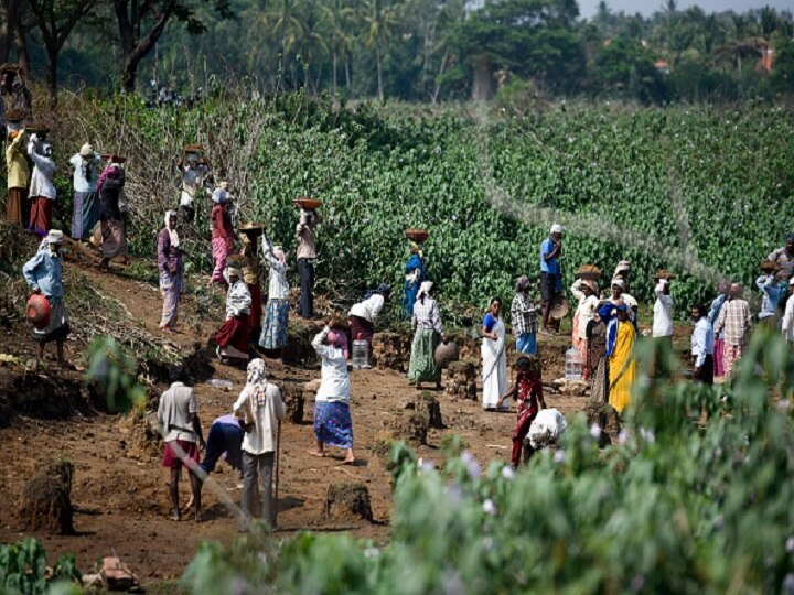 Going by precedents, EC likely to clear revised MNREGA wage rates Going by precedents, EC likely to clear revised MNREGA wage rates