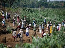 Going by precedents, EC likely to clear revised MNREGA wage rates