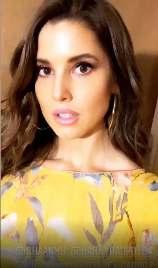 Amanda Cerny 