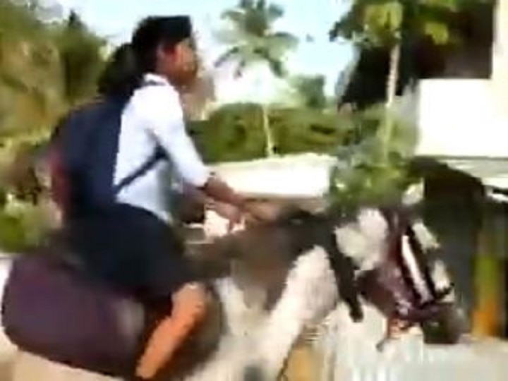 Kerala Class X girl rides a horse to reach board exam centre video goes viral Kerala: Class X girl rides a horse to reach board exam centre; video goes viral