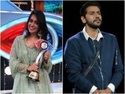 Pani Puri: Bigg Boss 12 rivals Dipika Kakar & Romil Chaudhary to play lovers in Star Plus' next?