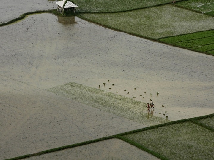 Monsoon likely to be near normal this year Met department Monsoon likely to be 'near normal' this year: Met department