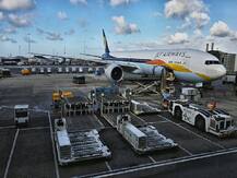 Jet Airways shares crash over 32% as airline halts operations; hit 52-week low during the day