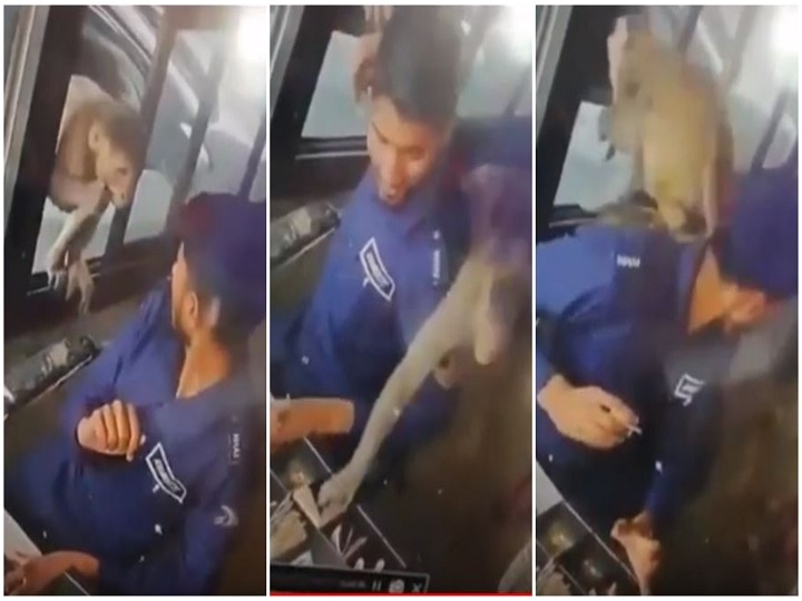 WATCH VIDEO- At toll booth in Kanpur, monkey allegedly arrives in car to steal Rs 5,000 WATCH VIDEO: At toll booth in Kanpur, monkey allegedly arrives in car to steal Rs 5000