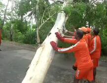 Cyclone Fani Aftermath in Pictures: Ferocious winds leave trail of destruction in eastern India