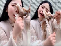 WATCH VIDEO: Octopus attacks blogger, sucks onto her face as she tries eating it alive