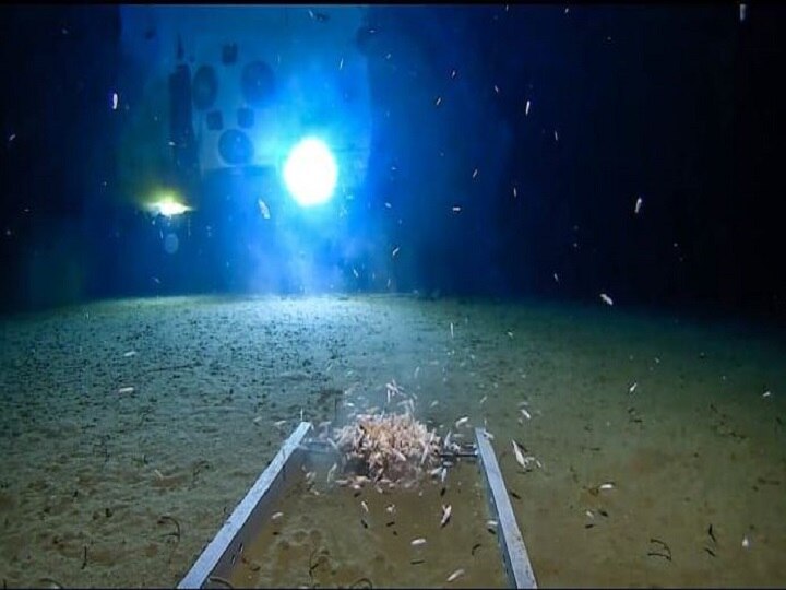 ALARMING! Trash found littering ocean floor, in world's deepest ever submarine dive ALARMING! Trash found littering ocean floor, in world's deepest ever submarine dive