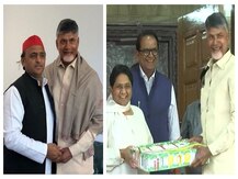 After Rahul Gandhi, TDP chief Chandrababu Naidu meets SP president Akhilesh Yadav, BSP Chief Mayawati