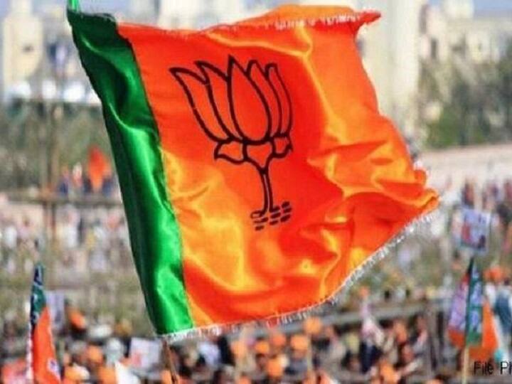ABP News Exit polls: BJP expected to sweep Rajasthan, Modi wave very much intact in Gujarat ABP News Exit polls: BJP expected to sweep Rajasthan, Modi wave very much intact in Gujarat