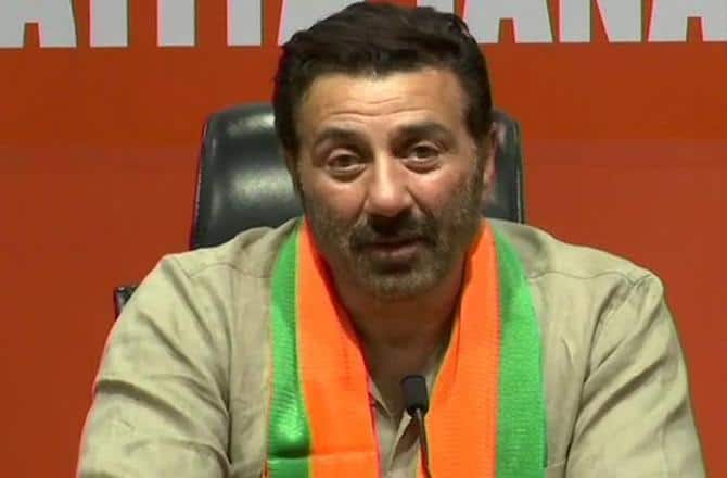 Actor Sunny Deol, who contested from Gurdaspur(Punjab seem to be cruising to easy win in his constituency 