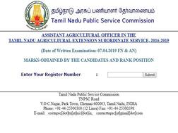 TNPSC AAO Result 2019 Declared at tnspsc.gov.in, Here’s the direct link