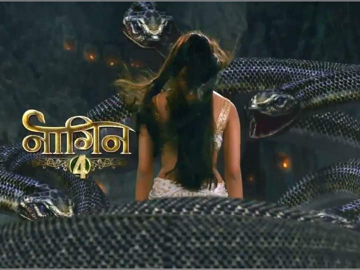 Naagin 4: The six characters we bet will return in the fourth season of 'Naagin 3'.. What do you think? Naagin 4: The six characters we bet will return in the fourth season of 'Naagin 3'!