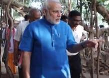 Modi pledges for cleaner planet on World Environment Day