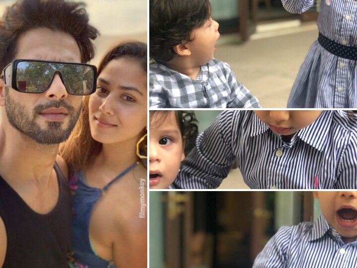 Awww! Li'l brother Zain Kapoor pinches Misha & mom Mira Rajput captures their fight over a flower in pics! Awww! Shahid's son Zain pinches big sis Misha, Mira Rajput captures their fight over a flower in pics!