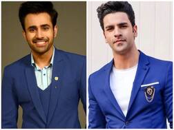 Vivek Dahiya to replace Pearl V Puri as male lead in 'Naagin 4'?
