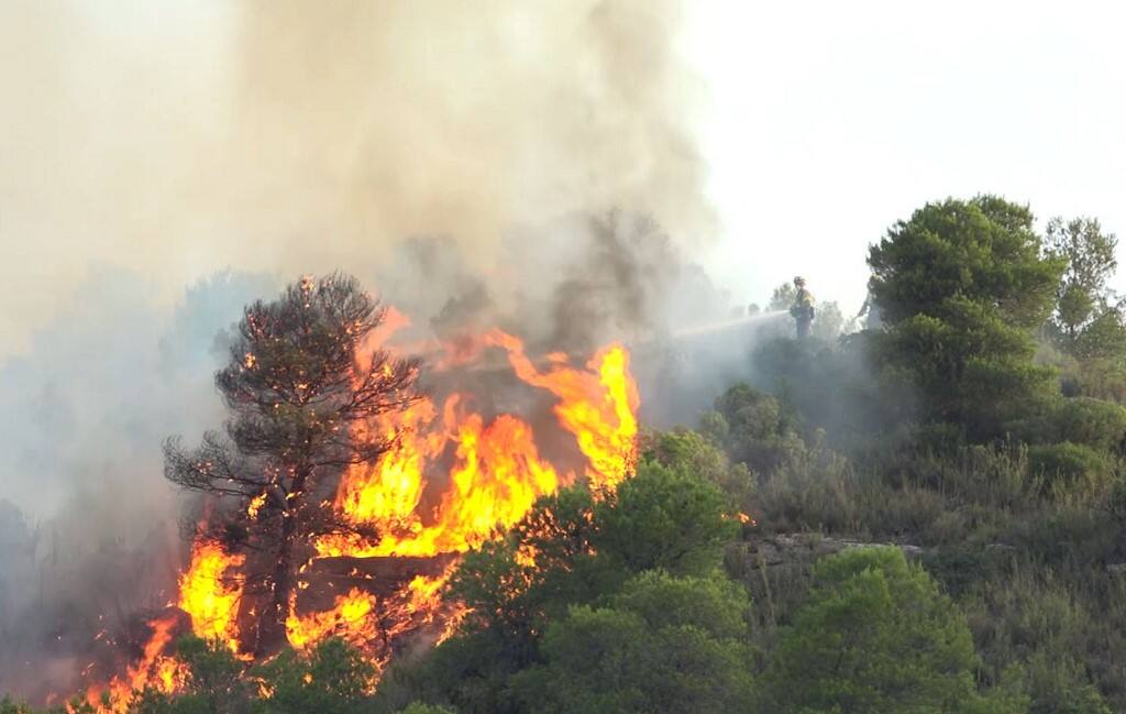 IN PICS: Heatwave triggers massive wildfire in Spain, 40 evacuated IN PICS: Heatwave triggers massive wildfire in Spain, 40 evacuated