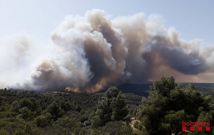 Regional spokesman Miquel Buch said it was one of the worst fires in Catalonia in the past 20 years. Around 350 fire-fighters worked throughout the night to stabilise the perimeter of wildfire with the help of around 80 fire vehicles, 10 tractors and heavy machinery. This handout picture released on June 26, 2019 by the firefighters of Catalonia, Bombers Generalitat Catalunya, shows a wildfire at Torre de l´Espanyol in Ribera d´Ebro, on the banks of the river Ebre, northeastern Spain. (Photo by Handout / Bombers Generalitat Catalunya / AFP) 
