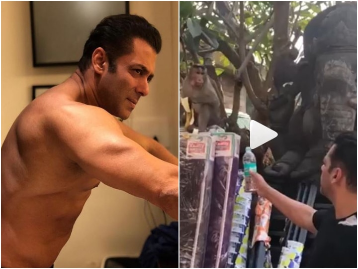 WATCH: When Salman Khan Offered Water To A Monkey & Gave An Important Environment Message WATCH: When Salman Khan Offered Water To A Monkey & Gave An Important Environment Message