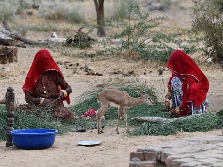 Budget 2019: These Agricultural Reforms Could Help FM Sitharaman In Doubling Farmers' Income By 2022 Budget 2019: These Agricultural Reforms Could Help FM Sitharaman In Doubling Farmers' Income By 2022