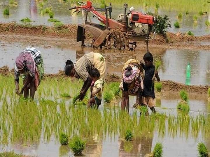 Government Will Invest Widely In Agriculture Infrastructure: Nirmala Sitharaman Government Will Invest Widely In Agriculture Infrastructure: Nirmala Sitharaman