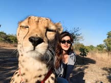#Selfietime: Kriti Sanon Poses With Cheetah In Zambia, Gets TROLLED