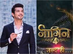 Woah! Arjun Bijlani To Be Part Of Ekta Kapoor's 'Naagin 4'?