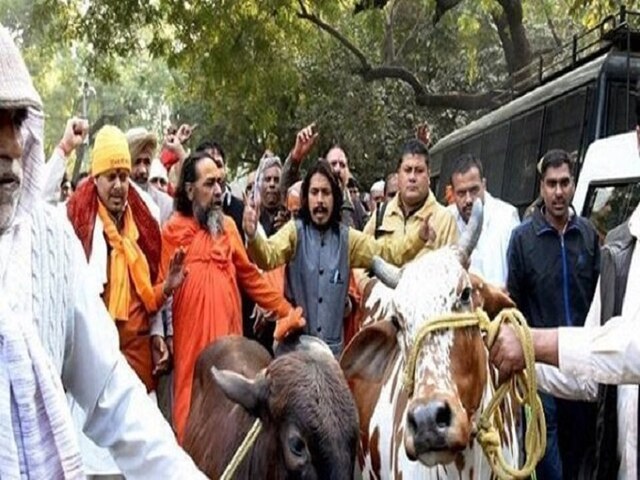 3 Suspected Cattle Thieves Lynched To Death In Bihar's Saran 3 suspected cattle thieves lynched to death in Bihar's Saran