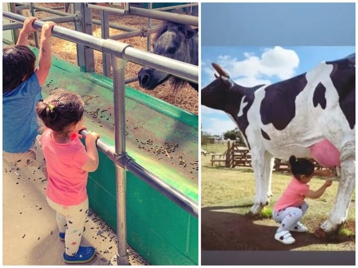 Kareena Kapoor's Son Taimur Ali Khan Hanging At Farm With Cousin Inaaya Naumi Kemmu In London Is Too Cute For Words! Check Out: Kareena Kapoor's Son Taimur Ali Khan Hanging At Farm With Cousin Inaaya Naumi Kemmu In London Is Too Cute For Words!