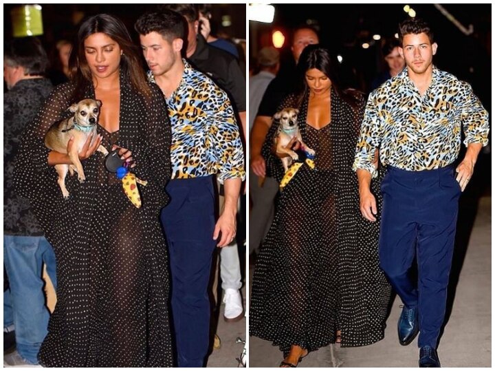 Priyanka Chopra Stuns In A Sheer Maxi Dress As She Gets Snapped With Nick Jonas & Her Pooch Diana! See Pictures! PICS: Priyanka Chopra Stuns In A Sheer Maxi Dress As She Gets Snapped With Nick Jonas & Her Pet Diana!