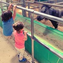 PICS: Adorable Inaaya Naumi Kemmu Melting Hearts With Her Cuteness At London Vacation With Mom And Dad!