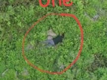 Army Foils Attack By Pakistan\'s Border Action Team, Kills At Least Five Infiltrators