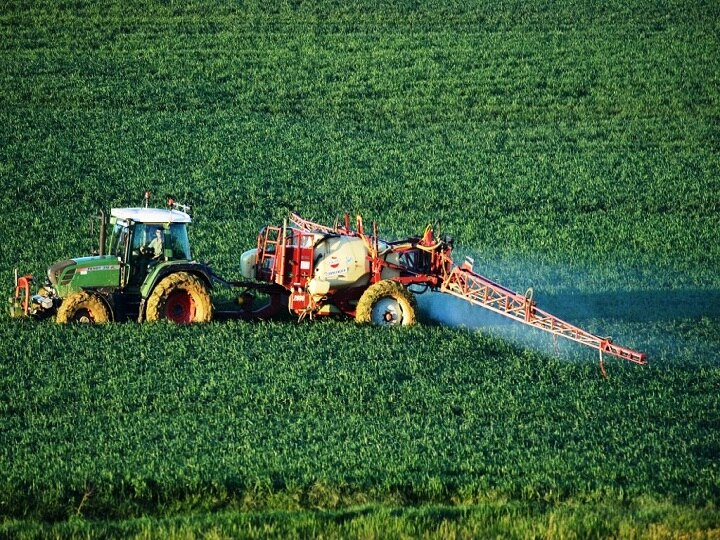 'Shun Chemical Fertilizers', PM Modi Urges Farmers 'Shun Chemical Fertilizers', PM Modi Urges Farmers