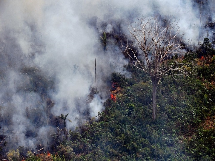 Amazon Fires: Protests Against Bolsonaro In Brazil Amazon Fires: Thousands Take To Streets To Protest Against Bolsonaro In Brazil