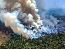 Why Is Part Of The Amazon Burning? Here Is All You Need To Know