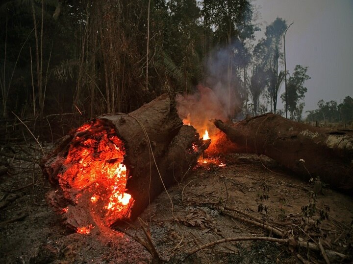 Brazil Rejects Aid Offer By G-7 Countries To Help Fight Amazon Wildfires Brazil Rejects Aid Offer By G-7 Countries To Help Fight Amazon Wildfires