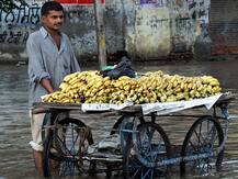Sale Of Bananas Banned At Lucknow Railway Station; Read To Know Why