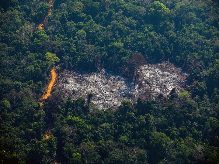 Amazon Fires: Brazil Bans Land Clearance Blazes For 60 Days Amid Crisis Amazon Fires: Brazil Bans Land Clearance Blazes For 60 Days Amid Crisis