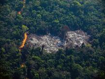 IN PICS: 10 Images That Reveal Devastation Caused By Amazon Rainforest Fires