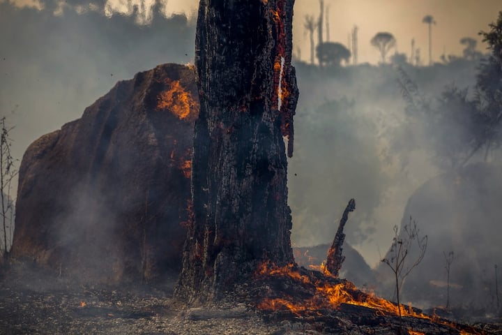 View of a burnt area of forest in Altamira, Para state, Brazil, in the Amazon basin, on August 27, 2019. - Brazil will accept foreign aid to help fight fires in the Amazon rainforest on the condition the Latin American country controls the money, the president's spokesman said Tuesday. (Photo by Joao Laet / AFP)