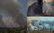 IN PICS: 10 Images That Reveal Devastation Caused By Amazon Rainforest Fires