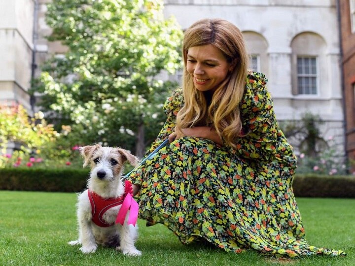 Boris Johnson, Girlfriend's Rescue Puppy 'Dilyn' Arrives In Downing Street UK PM Boris Johnson, Girlfriend's Rescue Puppy 'Dilyn' Arrives In Downing Street