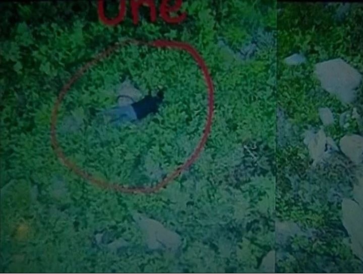 Pakistan Exposed: Video Of Pak Army's Involvement In Keran Sector Infiltration Bid Released Pakistan Exposed: Video Of Pak Army's Involvement In Keran Sector Infiltration Bid Released