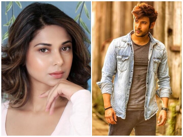 Beyhadh 2: Not Zain Imam, But Shivin Narang To Play Lead Role Opposite Jennifer Winget? Beyhadh 2: After Zain Imam, Shivin Narang In Talks To Romance Jennifer Winget In The Show?