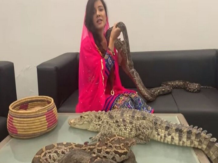 Pakistan Singer's Move To Threaten Narendra Modi On Kashmir Issue With Reptiles Backfires Pakistan Singer's Move To Threaten Narendra Modi On Kashmir Issue With Reptiles Backfires