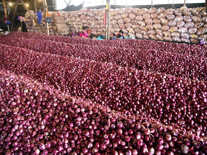 Nashik news onion worths rs one lakh stone from farmer's store Nashik: Onions Worth Rs 1 Lakh Stolen From Farmer's Store House