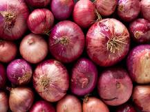 Onion Prices Ease In Delhi Amid Increased Arrivals