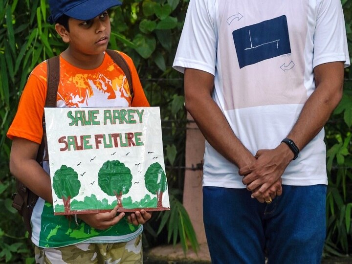 Setback for 'Save Aarey' Campaigners As Bombay HC Dismisses Petitions Against Felling of Over 2,700 Trees Setback for 'Save Aarey' Campaigners As Bombay HC Dismisses Petitions Against Felling of Over 2,700 Trees