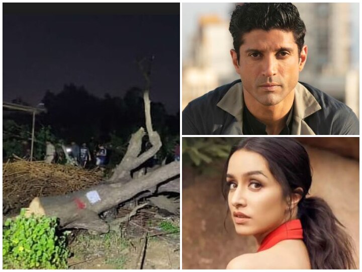 Aarey Protest: Bollywood Stars Vent Anger Over Slashing Trees Of Aarey Colony Aarey Protest: Bollywood Stars Vent Anger Over Slashing Trees Of Aarey Colony