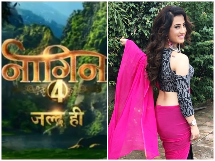 Naagin 4: 'Ishq Mein Marjawan' Fame Aalisha Panwar Approached After Nia Sharma & Krystle Dsouza? Naagin 4: After Nia & Krystle, 'Ishq Mein Marjawan' Fame Aalisha Panwar Approached To Play Lead Role?