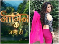 Naagin 4: After Nia & Krystle, 'Ishq Mein Marjawan' Fame Aalisha Panwar Approached To Play Lead Role?